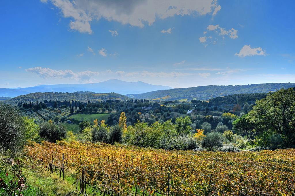 Agriturismo Fraschetta Монталчино Екстериор снимка