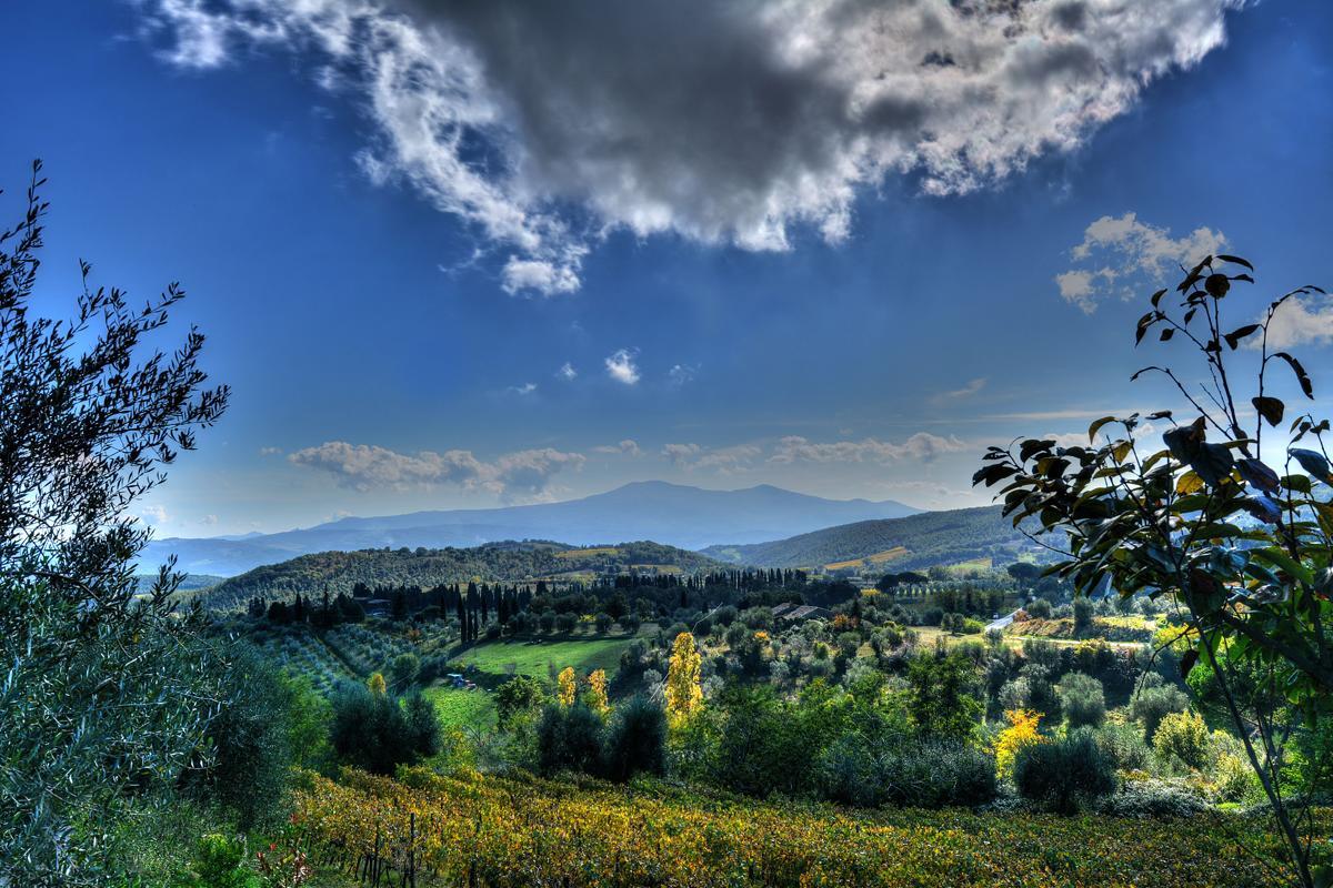 Agriturismo Fraschetta Монталчино Екстериор снимка
